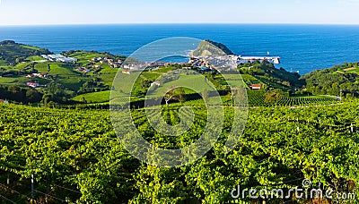 Wineyard Euskadi landscape sea Stock Photo