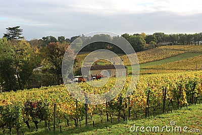 Sun over Winery in Saint Emilion Stock Photo