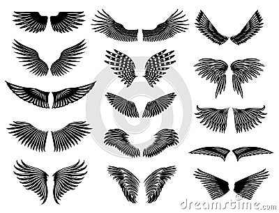 Wing natural detailed set Vector Illustration