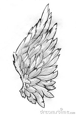 Wing pencil sketch Stock Photo