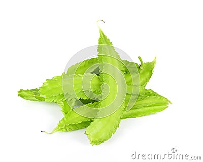 Winged bean on white background. Stock Photo