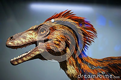 Winged dinosaur bird Editorial Stock Photo