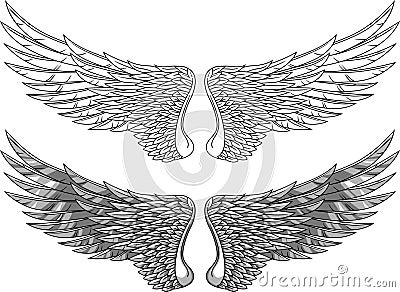 Seraphim wings stock vector. Illustration of black, cherubim - 27462251