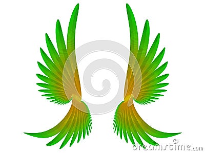 Wings Cartoon Illustration