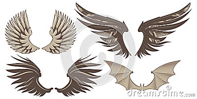 Wings Vector Illustration