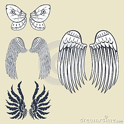Wings animal feather pinion bird freedom flight natural peace design vector illustration. Vector Illustration