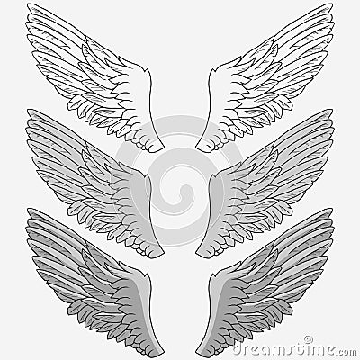 Wings of bird set Vector Illustration