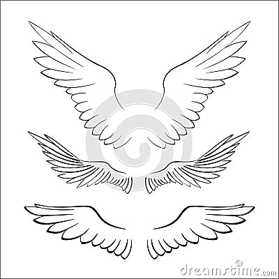 Wings, birds, vector illustration Vector Illustration