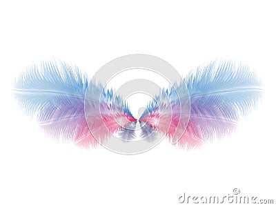 Wings with blue and pink feathers Vector Illustration