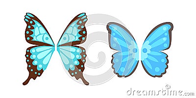 Wings butterfly animal feather pinion blue freedom flight and natural hawk life peace design flying element Vector Illustration