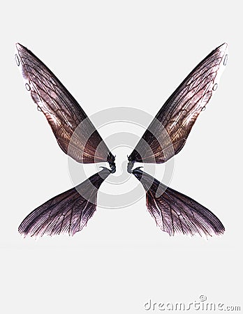 Wings of insect isolate on white background Cartoon Illustration