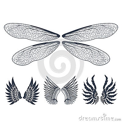 Wings isolated animal feather pinion bird freedom flight natural peace design vector illustration. Vector Illustration