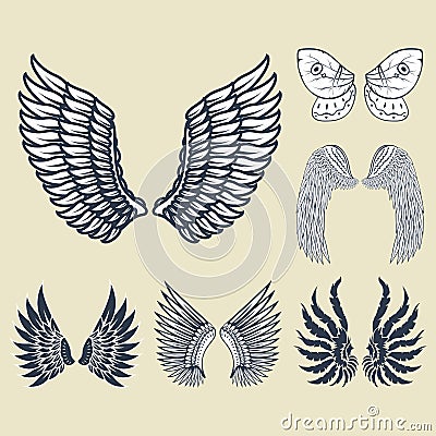 Wings isolated animal feather pinion bird freedom flight natural peace design vector illustration. Vector Illustration