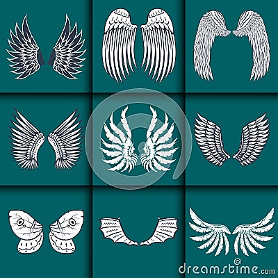 Wings isolated animal feather pinion bird freedom flight natural peace design vector illustration. Vector Illustration