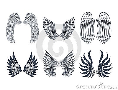 Wings isolated animal feather pinion bird freedom flight natural peace design vector illustration. Vector Illustration