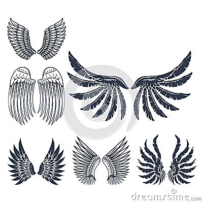 Wings isolated animal feather pinion bird freedom flight natural peace design vector illustration. Vector Illustration