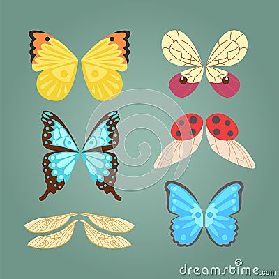 Wings isolated animal feather pinion butterfly freedom flight and natural hawk life peace design flying element eagle Vector Illustration