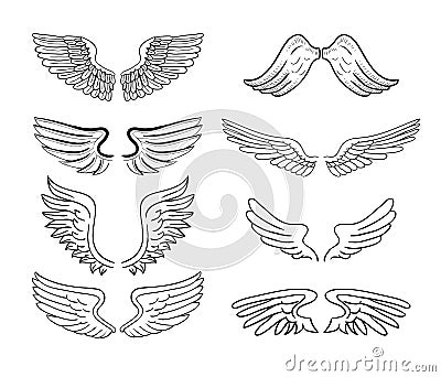 Wings set, vector illustrations Vector Illustration