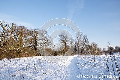 Winter Stock Photo