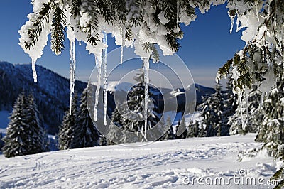 Winter Stock Photo