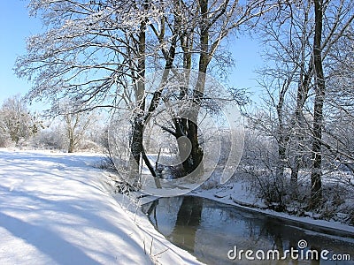 Winter Stock Photo