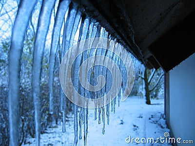 Winter Stock Photo