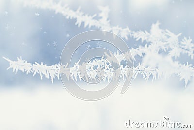 Winter Abstract Background - Frosty Snowy Stock Photo