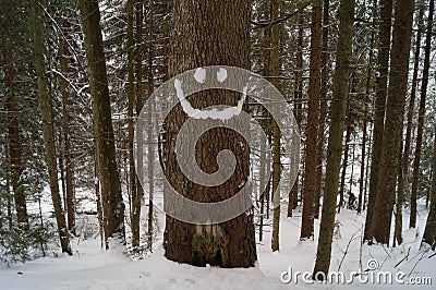 Winter adventures. Smile. Carpathians. Ukraine. Stock Photo