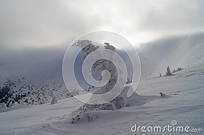 Winter adventures. Snow ghost. Carpathians. Ukraine. Stock Photo