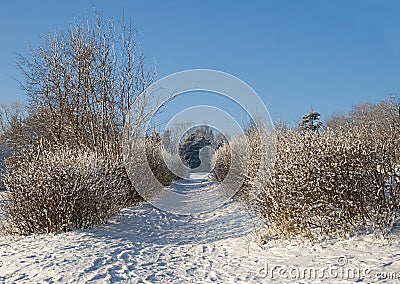 Winter alley Stock Photo