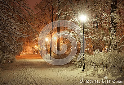 Winter alley at night Stock Photo