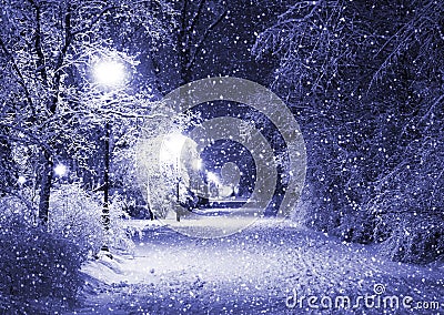Winter alley at night Stock Photo
