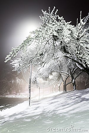 Winter alley in park and shining lanterns. Night shot. Winter wonderland Stock Photo