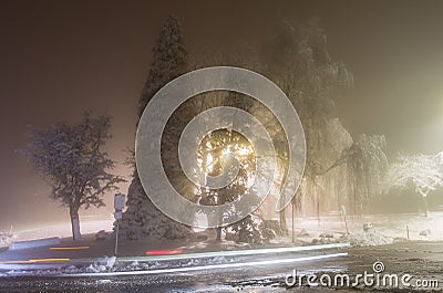 Winter alley in park and shining lanterns. Night shot. Winter wonderland Stock Photo