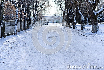 Winter alley with trees on the sides Stock Photo