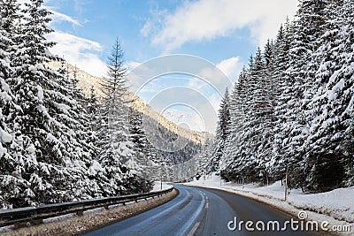 Winter alpine road curve landscape with forest, mountains and blue sky on background at bright cold sunny day. Car trip family Stock Photo