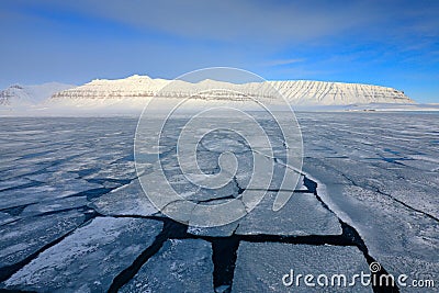 Winter Arctic. White snowy mountain, blue glacier Svalbard, Norway. Ice in ocean. Iceberg twilight in North pole. Beautiful landsc Stock Photo