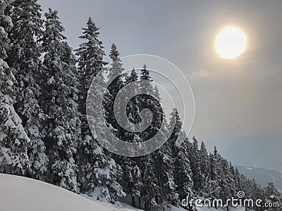 Winter Austria Snow Ice White Cold Lift Ski Snowboard Mountain Sun Clouds Blue Sky Red Plastic Red Fence Metal Shadow Closeup Stock Photo