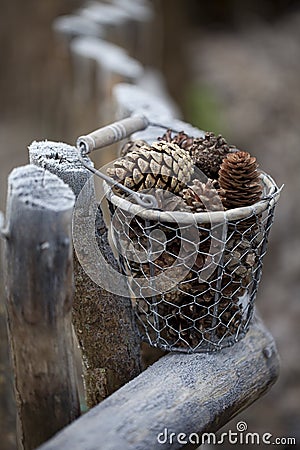 Winter Autumn Impression On Old Fence Stock Photo