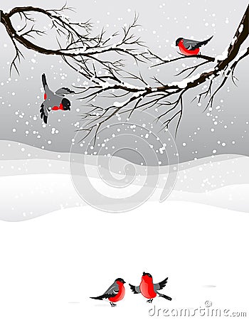 Winter background with birds bullfinch Vector Illustration