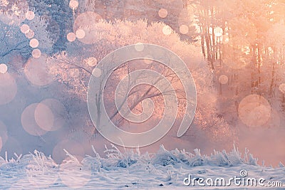 Winter background. Christmas nature baclground. Stock Photo