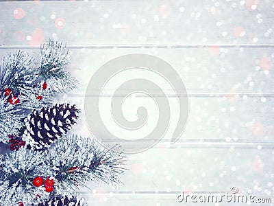 Winter background with fir branches cones and snow Stock Photo
