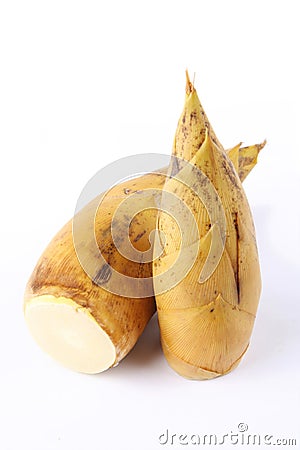 Winter bamboo shoots Stock Photo