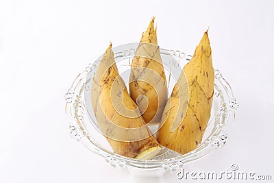 Winter bamboo shoots Stock Photo