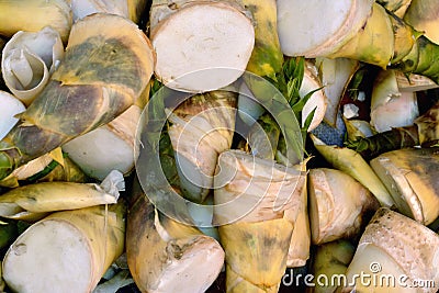 Winter bamboo shoots as vegetable Stock Photo