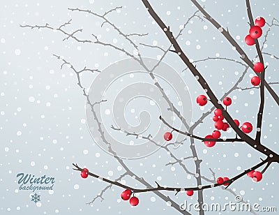 Winter bare branches with red berries Vector Illustration