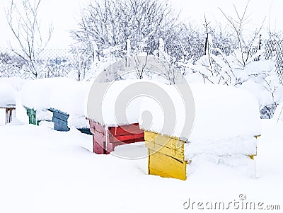 Winter bee hives covered by snow Stock Photo