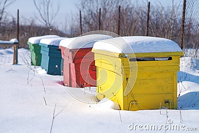 Winter bee hives Stock Photo