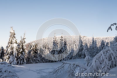 Winter bellow Lysa hora hill in Moravskoslezske Beskydy mountains in Czech republic Stock Photo