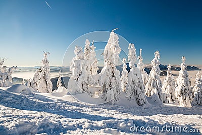 Winter bellow Lysa hora holl summit in Moravskoslezske Beskydy mountains Stock Photo